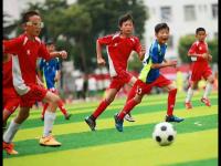 巴黎直播_巴黎免费高清直播_巴萨vs巴黎在线观看